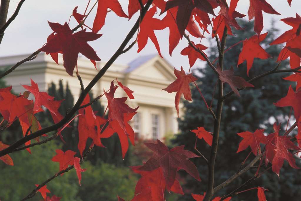 Sunningdale Park Hotel Аскът Екстериор снимка